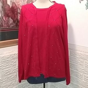 Allison Daley Red and Silver Sweater Large